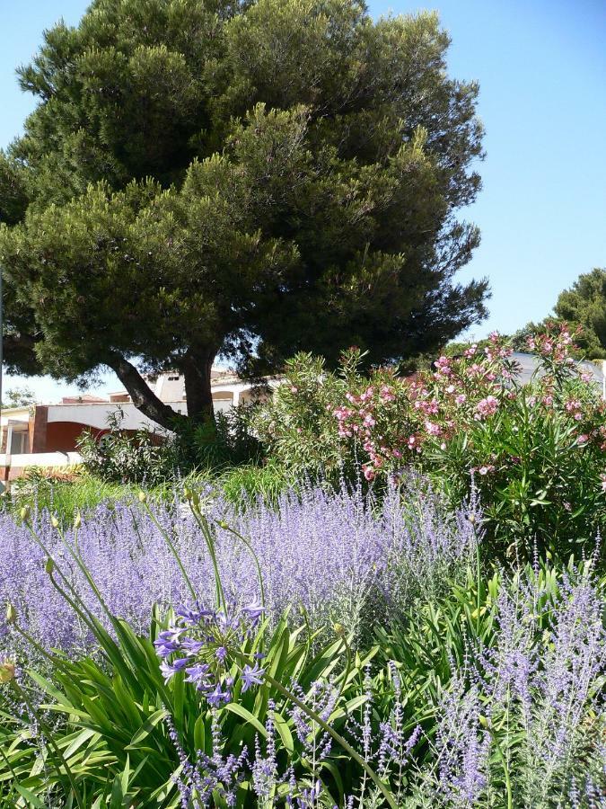 Aux Marches Du Soleil: Shared Apartment with Private Rooms Sete Exterior photo